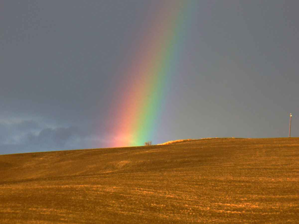 Rainbow 2 by Susan Fluegel